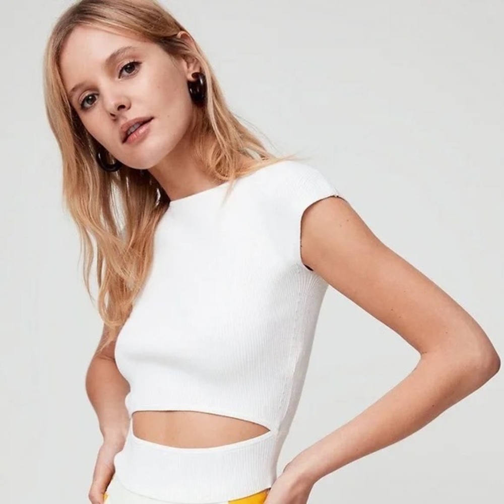 Aritzia Wilfred Free Knit Cutout Top